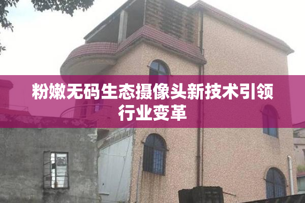 粉嫩无码生态摄像头新技术引领行业变革