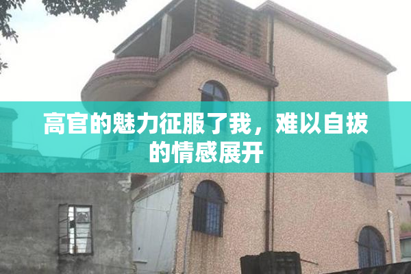 高官的魅力征服了我，难以自拔的情感展开