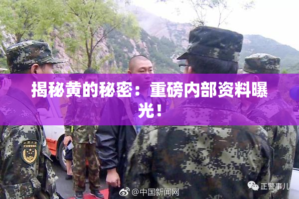 揭秘黄的秘密：重磅内部资料曝光！