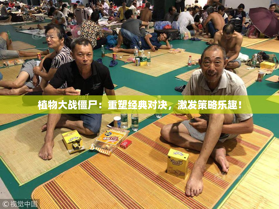 植物大战僵尸：重塑经典对决，激发策略乐趣！