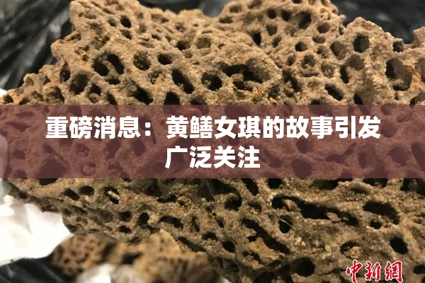 重磅消息：黄鳝女琪的故事引发广泛关注