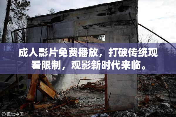 成人影片免费播放，打破传统观看限制，观影新时代来临。