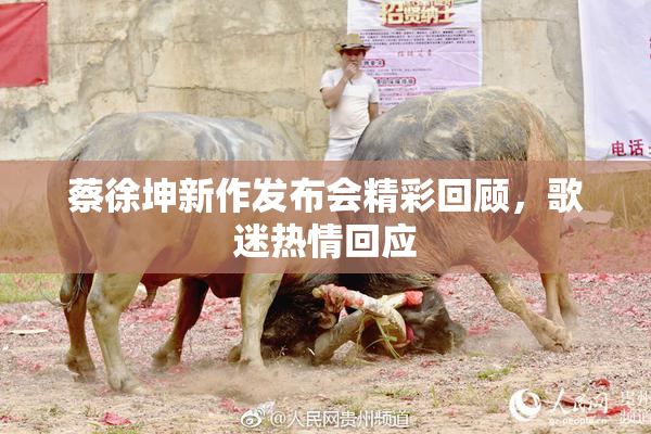 蔡徐坤新作发布会精彩回顾，歌迷热情回应