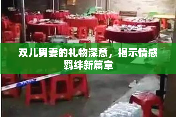 双儿男妻的礼物深意，揭示情感羁绊新篇章
