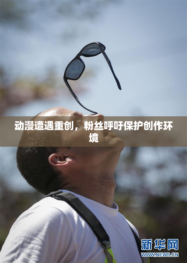 动漫遭遇重创，粉丝呼吁保护创作环境