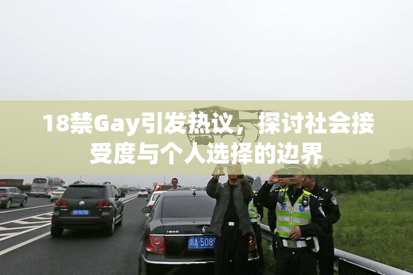 18禁Gay引发热议，探讨社会接受度与个人选择的边界