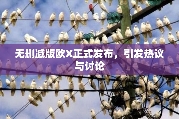 无删减版欧X正式发布，引发热议与讨论