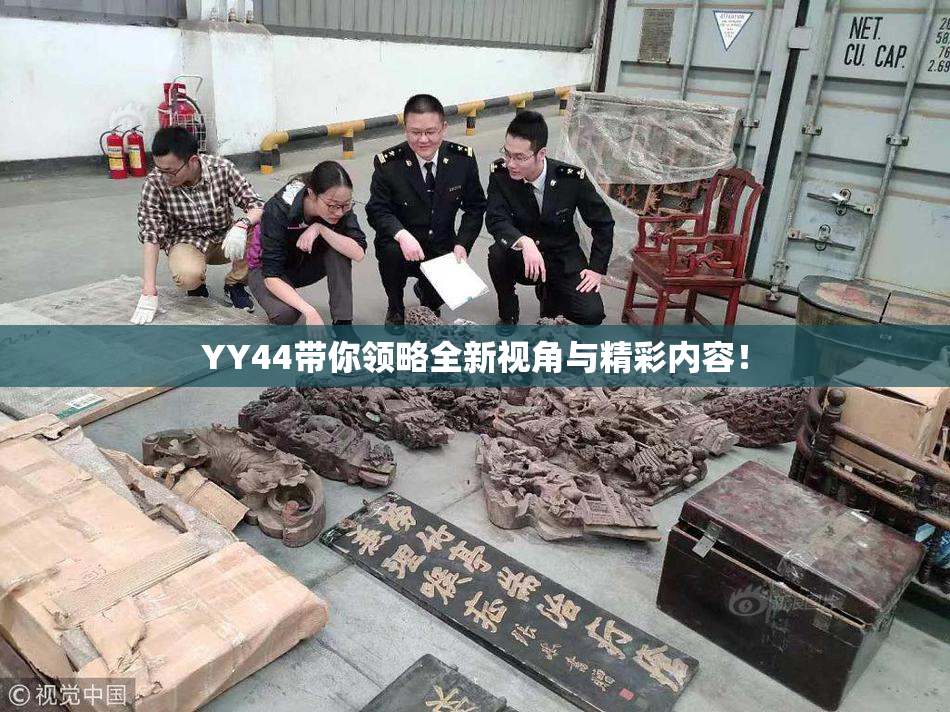 YY44带你领略全新视角与精彩内容！