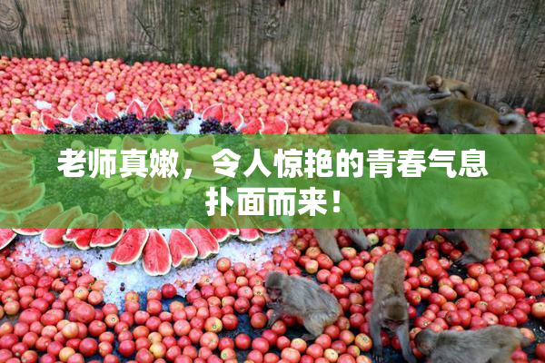 老师真嫩，令人惊艳的青春气息扑面而来！