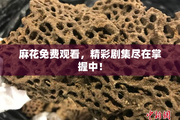 麻花免费观看，精彩剧集尽在掌握中！