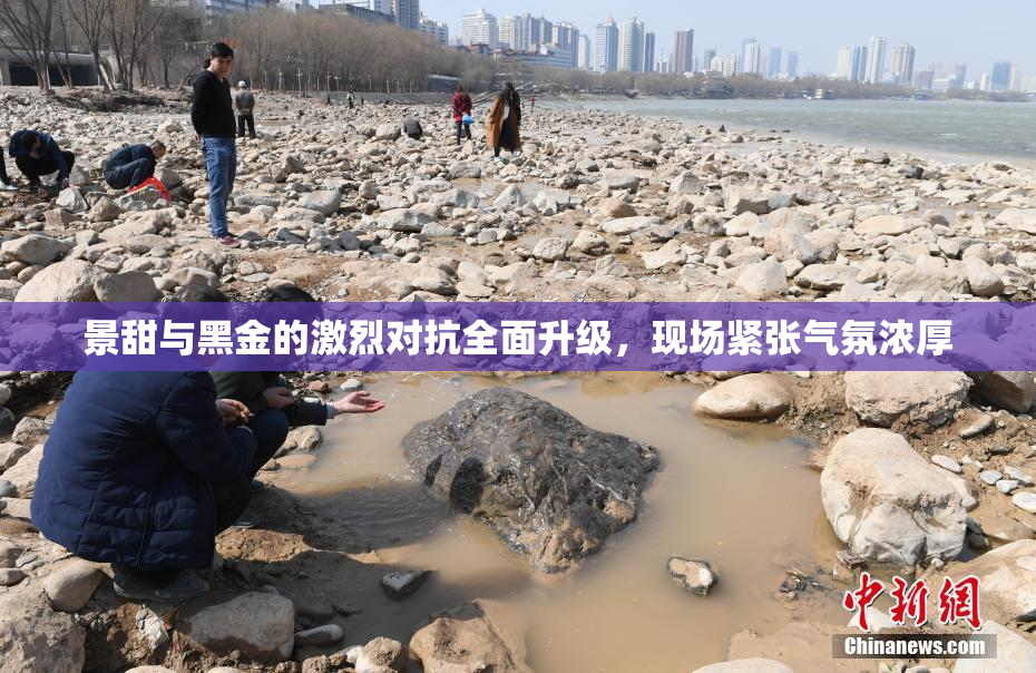 景甜与黑金的激烈对抗全面升级，现场紧张气氛浓厚