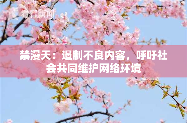 禁漫天：遏制不良内容，呼吁社会共同维护网络环境