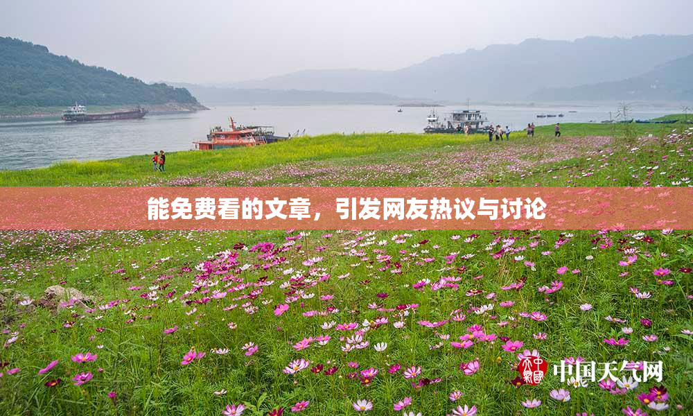 能免费看的文章，引发网友热议与讨论