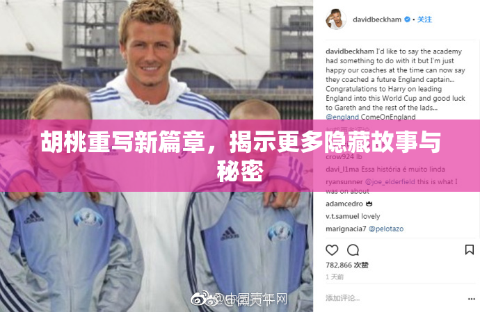 胡桃重写新篇章，揭示更多隐藏故事与秘密