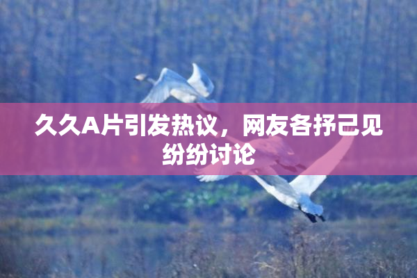 久久A片引发热议，网友各抒己见纷纷讨论