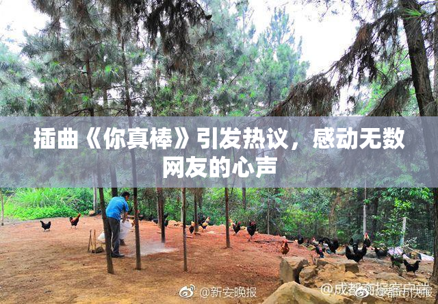 插曲《你真棒》引发热议，感动无数网友的心声