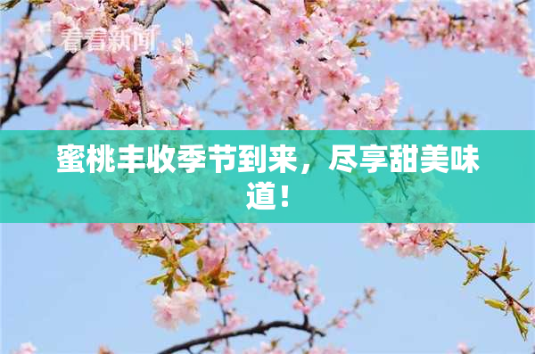 蜜桃丰收季节到来，尽享甜美味道！