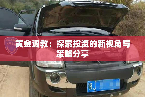 黄金调教：探索投资的新视角与策略分享