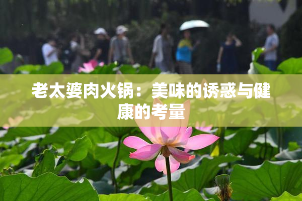 老太婆肉火锅：美味的诱惑与健康的考量