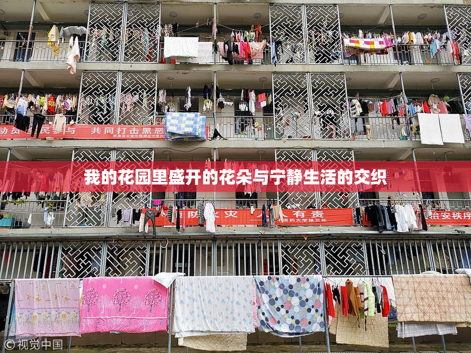 我的花园里盛开的花朵与宁静生活的交织