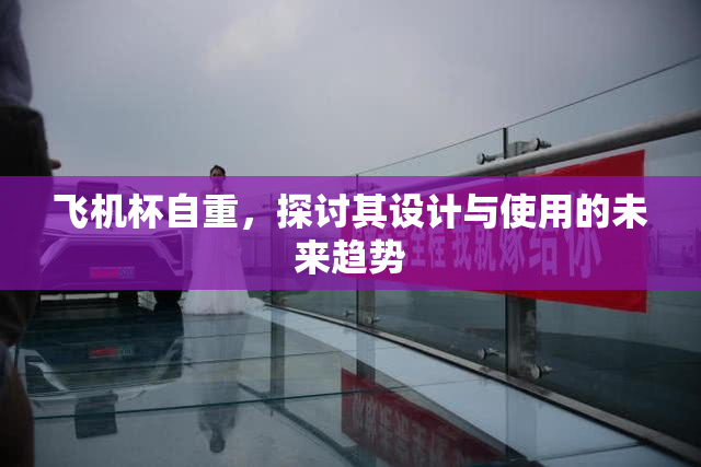 飞机杯自重，探讨其设计与使用的未来趋势