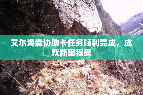 艾尔海森协助卡任务顺利完成，成就新里程碑