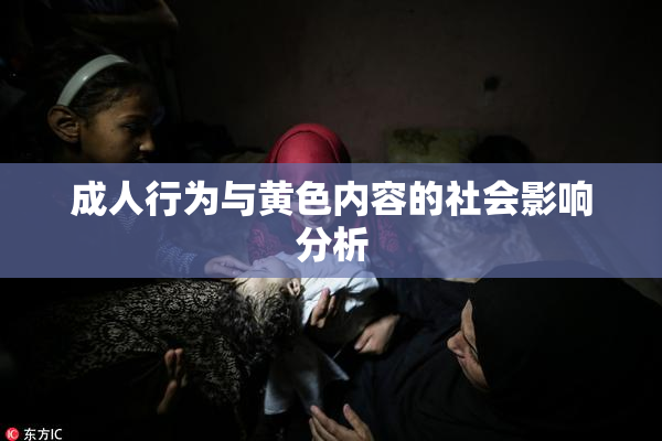 成人行为与黄色内容的社会影响分析
