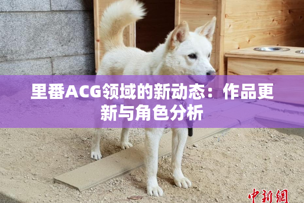 里番ACG领域的新动态：作品更新与角色分析