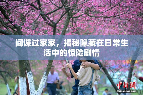 间谍过家家，揭秘隐藏在日常生活中的惊险剧情