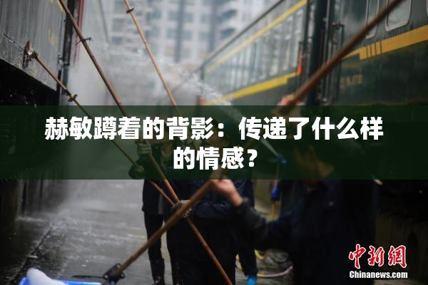 赫敏蹲着的背影：传递了什么样的情感？