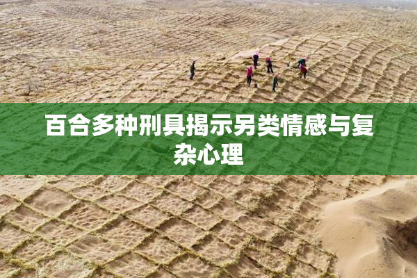百合多种刑具揭示另类情感与复杂心理