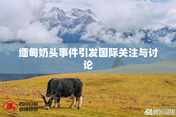 缅甸奶头事件引发国际关注与讨论