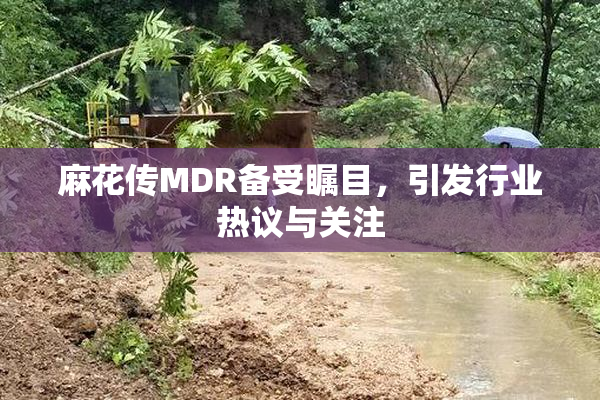 麻花传MDR备受瞩目，引发行业热议与关注