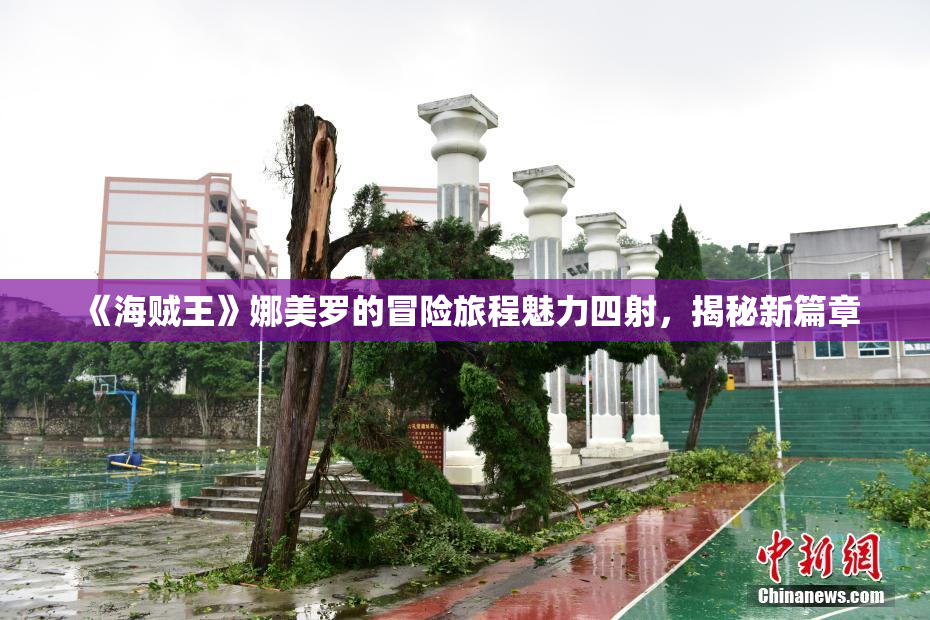 《海贼王》娜美罗的冒险旅程魅力四射，揭秘新篇章