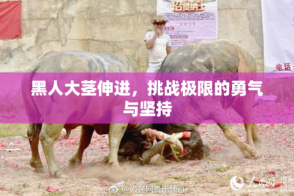黑人大茎伸进，挑战极限的勇气与坚持