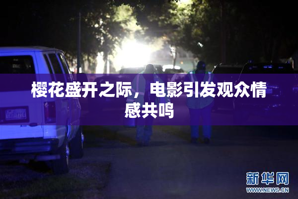 樱花盛开之际，电影引发观众情感共鸣