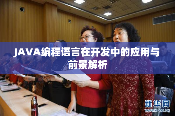 JAVA编程语言在开发中的应用与前景解析