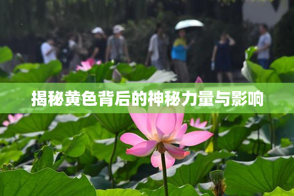 揭秘黄色背后的神秘力量与影响