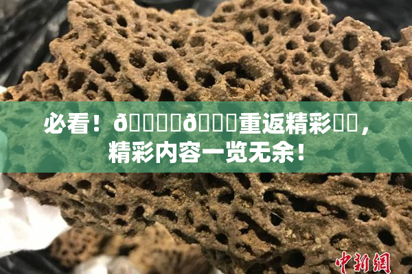 必看！🔞‌🍌重返精彩❌‌，精彩内容一览无余！