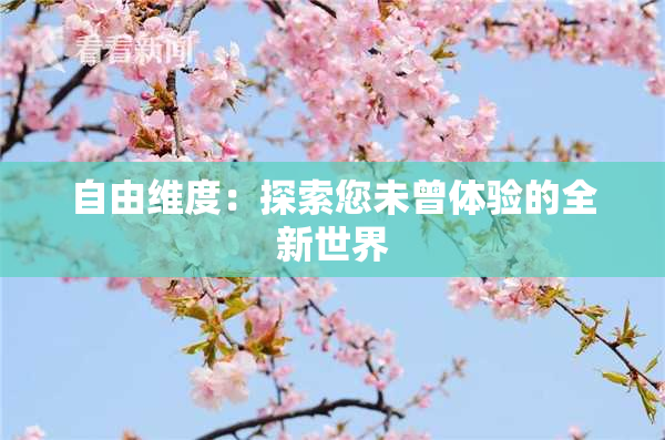 自由维度：探索您未曾体验的全新世界