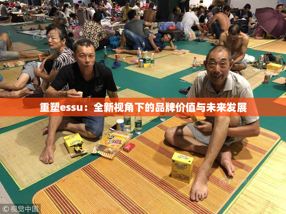 重塑essu：全新视角下的品牌价值与未来发展
