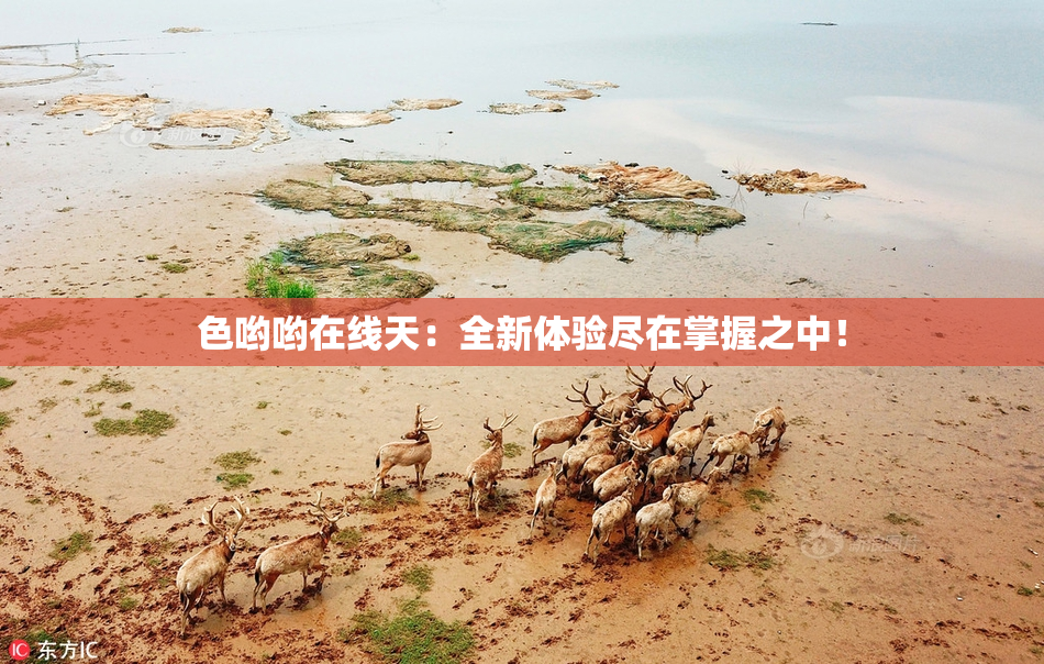 色哟哟在线天：全新体验尽在掌握之中！