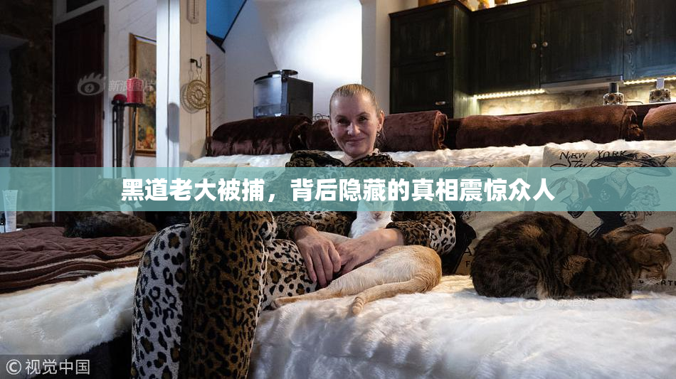 黑道老大被捕，背后隐藏的真相震惊众人