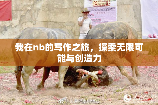 我在nb的写作之旅，探索无限可能与创造力