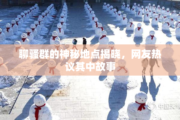 聊骚群的神秘地点揭晓，网友热议其中故事