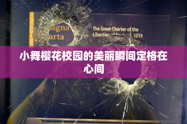 小舞樱花校园的美丽瞬间定格在心间