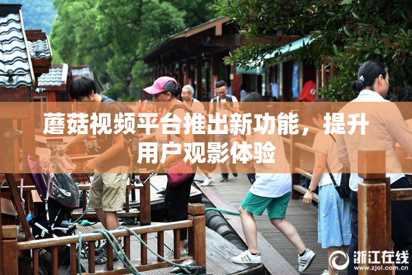 蘑菇视频平台推出新功能，提升用户观影体验
