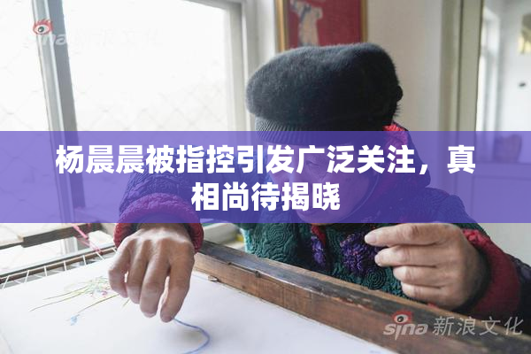 杨晨晨被指控引发广泛关注，真相尚待揭晓