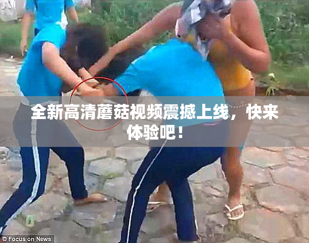 全新高清蘑菇视频震撼上线，快来体验吧！