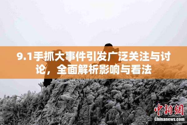 9.1手抓大事件引发广泛关注与讨论，全面解析影响与看法